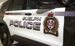 Polis: Guelph tutuklamasında Crossbow ve 12.000 dolardan fazla kokain ele geçirildi