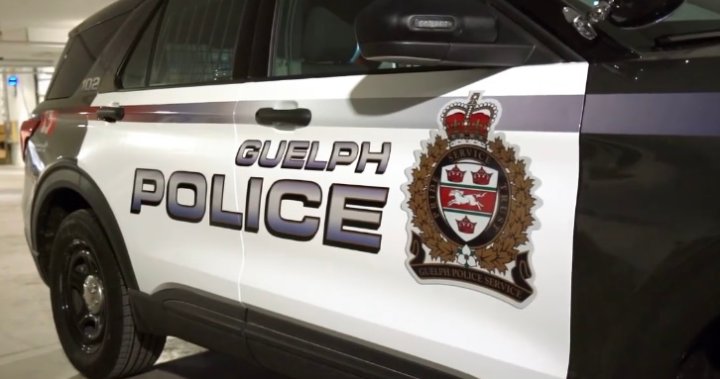 Polis: Guelph tutuklamasında Crossbow ve 12.000 dolardan fazla kokain ele geçirildi