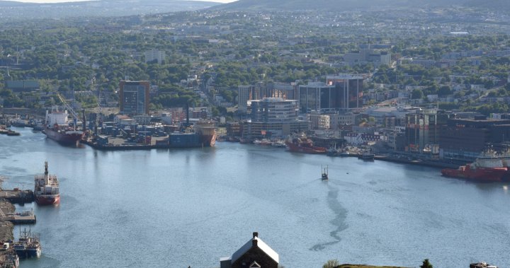 Kanada’da 2 aylıktan küçük bir kadın Newfoundland’da bavulun içinde ölü bulundu