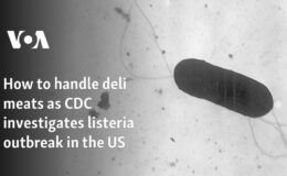 ABD’de CDC’nin listeria salgınını araştırması sırasında şarküteri etleri nasıl ele alınmalı?