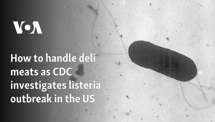 ABD’de CDC’nin listeria salgınını araştırması sırasında şarküteri etleri nasıl ele alınmalı?