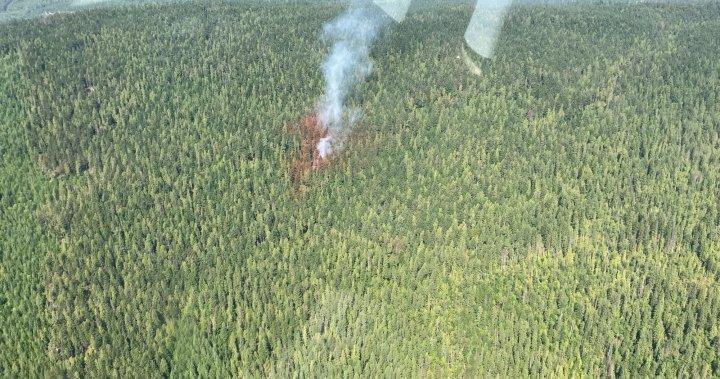 Shuswap’taki Lower Blueberry Creek yangını durduruldu: BC Orman Yangını – Okanagan