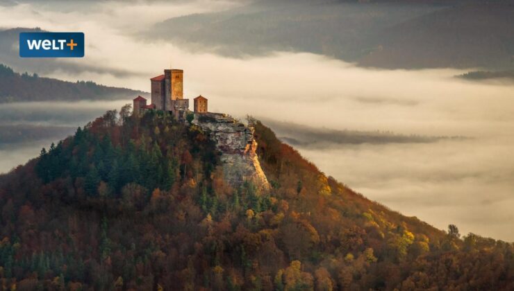 Palatinate farklıdır ve farklı kalmaya devam edecektir