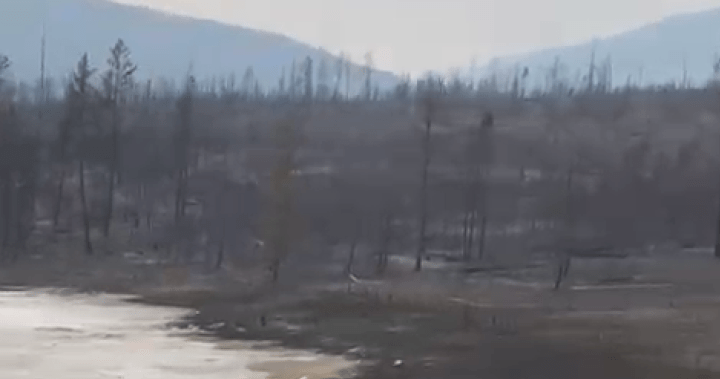 ‘Evlerimizi kaybettik’: BC Venables Valley sakini, büyük orman yangınının yarattığı yıkımı anlatıyor