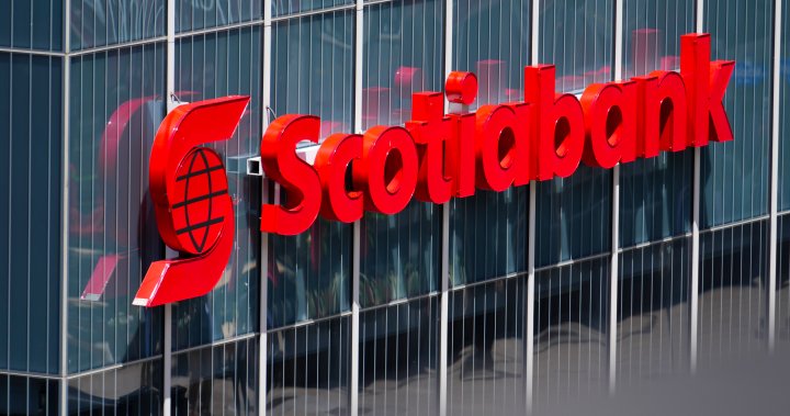 Scotiabank’ın ‘teknik sorunu’ müşterileri maaş çeksiz bıraktı – Ulusal