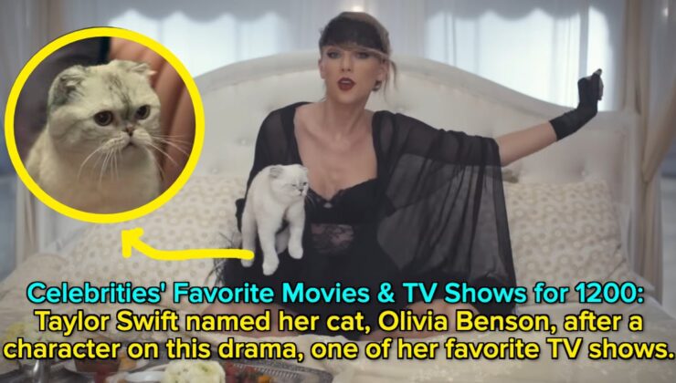 Bu 31 Taylor Swift Sorusu Aslında Şuydu "Tehlike," Ve bunları doğru yapmak için sıkı bir Swiftie olmanız gerekir