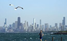 Chicago şehir merkezi gayrimenkul kriziyle tehdit ediliyor