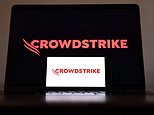 CrowdStrike’ın Avustralya’daki halkla ilişkiler direktörü iş ilanı internette alay konusu oldu: ‘Başvuran var mı?’