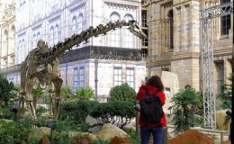 Dinozor Fern, Londra Doğa Tarihi Müzesi’nin yenilenen bahçelerinde yerini aldı