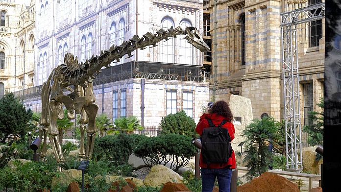 Dinozor Fern, Londra Doğa Tarihi Müzesi’nin yenilenen bahçelerinde yerini aldı