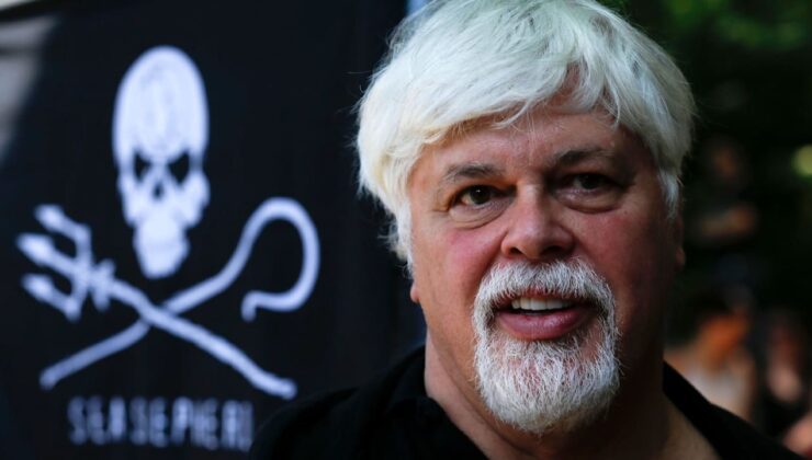 Grönland: Çevre aktivisti Paul Watson tutuklandı | Haberler