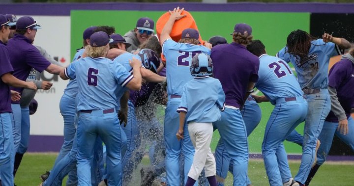 Saskatoon Berries, Medicine Hat Mavericks’e karşı WCBL playoff çıkışını yapmaya hazır – Saskatoon