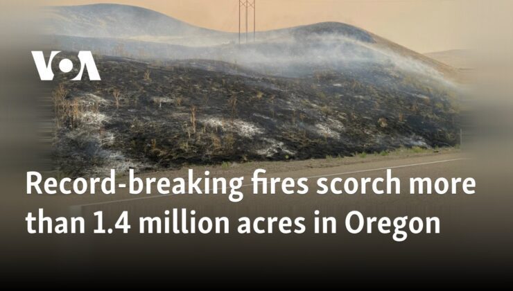 Oregon’da rekor kıran yangınlar 1,4 milyon dönümden fazla alanı kavurdu