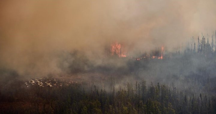 Kuzey Manitoba İlk Milleti, yakındaki orman yangını nedeniyle tahliye ediliyor