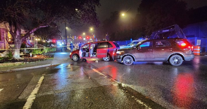 Kuzey Vancouver Atlı Polisi’ne saldırıda bulunmakla ve silahsızlandırmaya çalışmakla suçlanan adam – BC