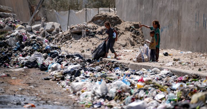 DSÖ, Gazze’deki çatışmalarda ‘kademeli’ araların çocuk felci aşılarına izin vereceğini söylüyor – Ulusal