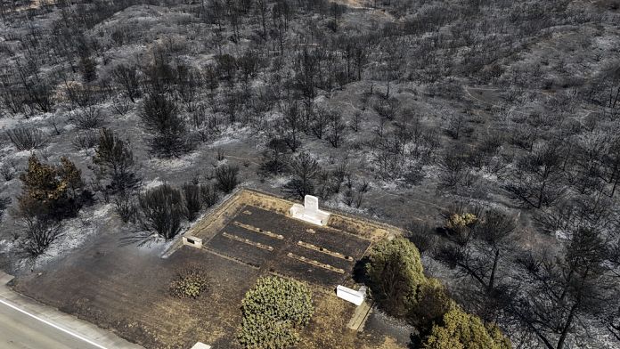 Bakan Yumaklı: ‘İzmir Yamanlar, Urla ve Bolu Göynük’teki toptan kontrol markalıydı’