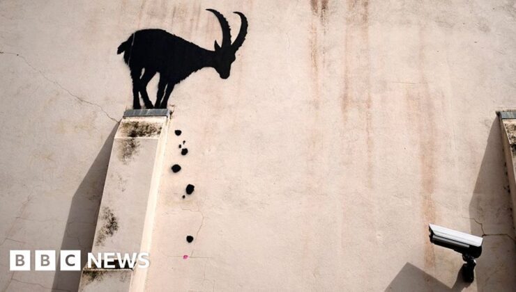 Banksy’nin keçi eseri Batı Londra’daki bir binada belirdi