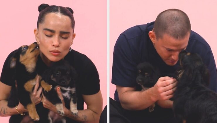 Blink Twice’ın Zoë Kravitz, Channing Tatum Yavru Köpek Röportajı