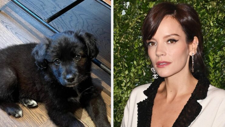 Lily Allen, Ailesinin Evlat Edindiği Yavru Köpeği Geri Verdiğini Kabul Etti