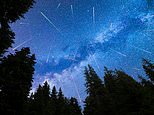 NASA, Amerikalılara bu hafta sonu gerçekleşecek Perseid meteor yağmuru sırasında şehirlerden kaçmalarını söyledi