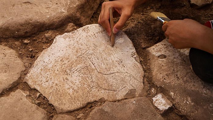 Neolitik Çağ’ın yerleşim yerlerinden Karahantepe’de koşan yaban eşeği bulundu