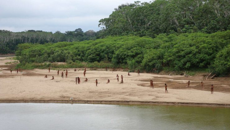 Peru’da dünyanın en büyük temas kurulmamış yerli kabilesi ormansızlaşma nedeniyle yok oldu