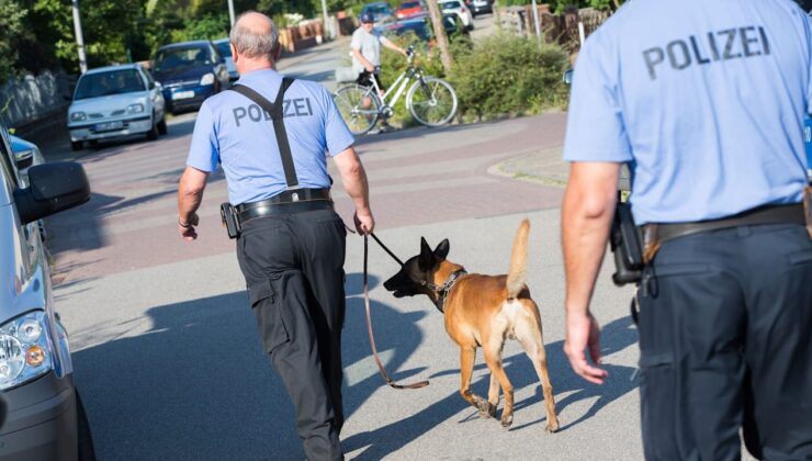 Ruppertsberg: Polis köpeği düğünde bebeği yaraladı – çocuk hastanede | Haberler