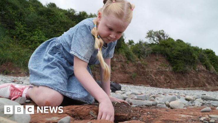 Vale of Glamorgan plajında ​​bir kız öğrencinin dinozor ayak izi bulundu