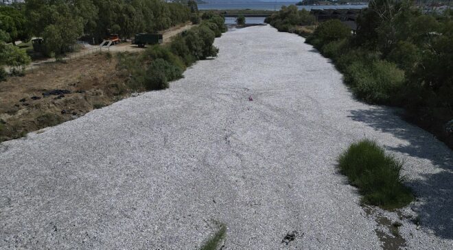 Yunan makamlarından toplu balık ölümlerinin sarstığı Volos’a mali destek