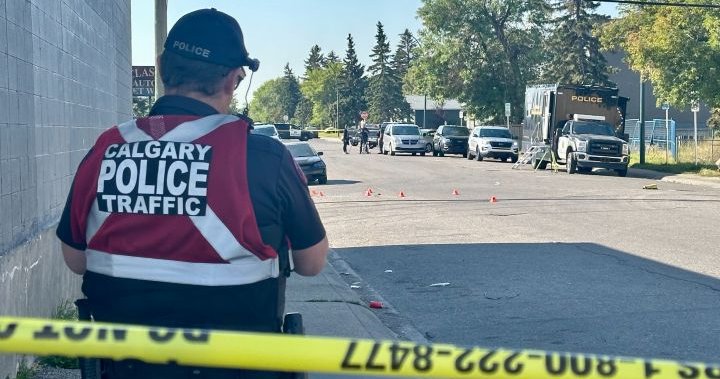 Polis, güneydoğu Calgary’deki bir işletmenin dışında yaşanan ‘kargaşa’nın ardından adamın ölümünü araştırıyor – Calgary