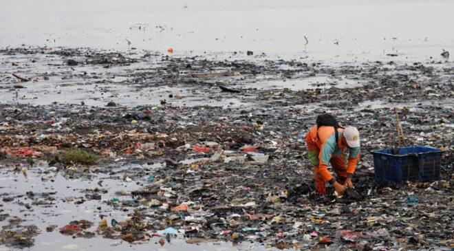 Avustralyalı araştırmacılar yeni nesil biyolojik olarak parçalanabilir plastik planlıyor