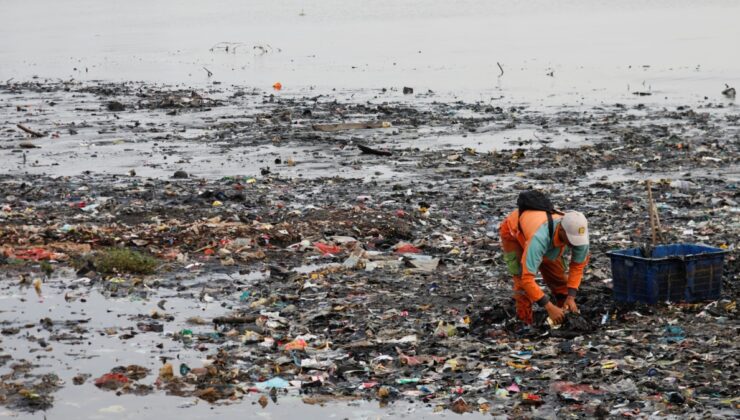 Avustralyalı araştırmacılar yeni nesil biyolojik olarak parçalanabilir plastik planlıyor